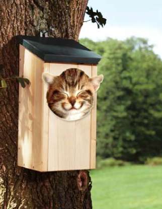 ... jetzt endlich ein eigenes ein Dach &uuml;ber dem Kopf ... (www.bauunion1905.de)